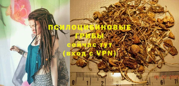 дмт Заволжск