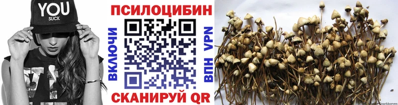 Псилоцибиновые грибы Cubensis  Чудово 
